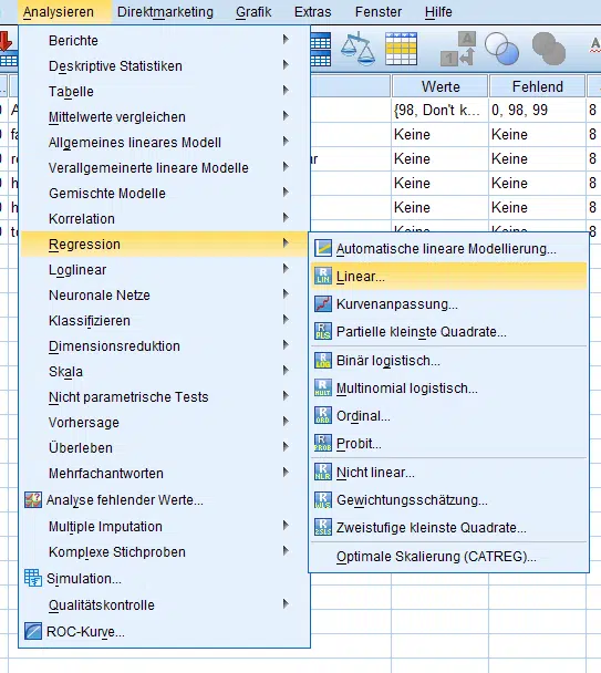 Lineare Regressionsanalyse Spss Hintergrund Durchf Hrung Novustat