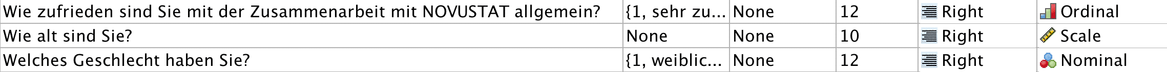 Zuordnung unterschiedlicher Skalenniveaus zu unterschiedlichen Fragetypen in SPSS
