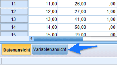 SPSS Variablenansicht