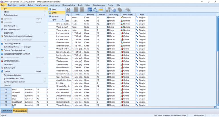 spss-syntax-richtig-nutzen-novustat-statistik-beratung