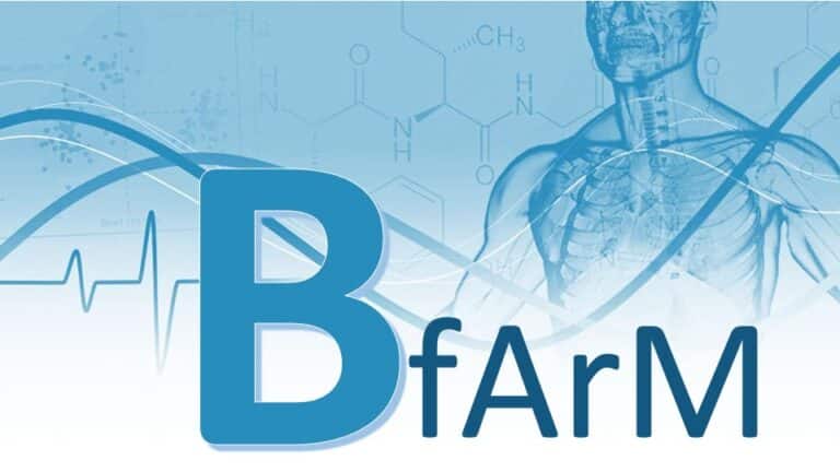 BfArM Bonn - Statistik Service