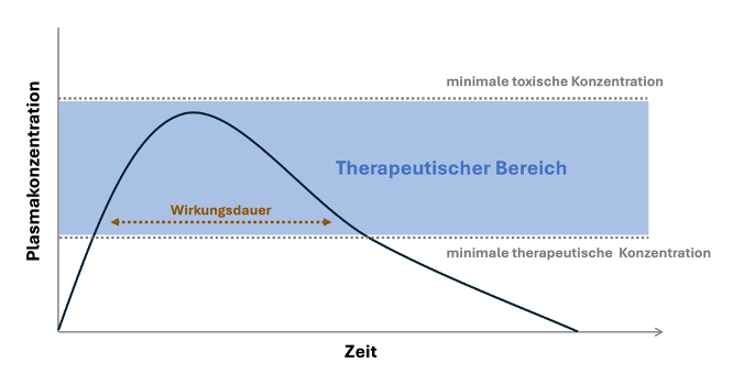 Zeitlicher Verlauf der pharmakodynamischen Wirkung eines Arzneimittels mit Darstellung der Wirkungsdauer des therapeutischen Bereichs.