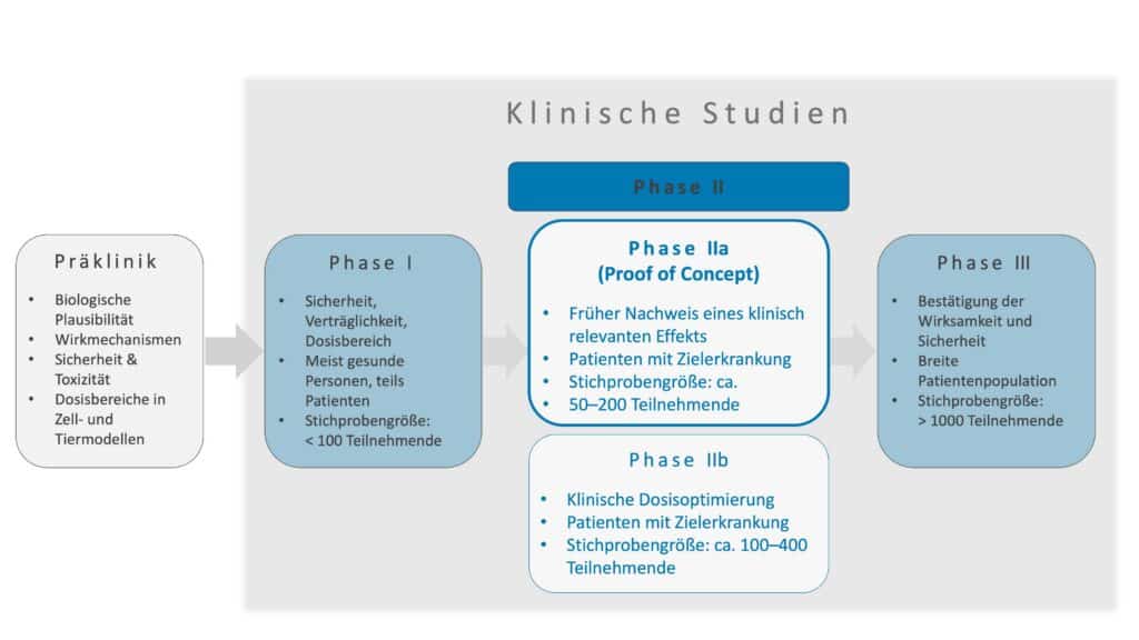 Übersicht des klinischen Entwicklungsprozesses mit Phase I, Phase IIa als Proof of Concept (PoC) und Phase IIb sowie Phase III.