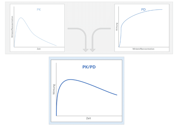 Schematische Darstellung der PK/PD-Modellierung