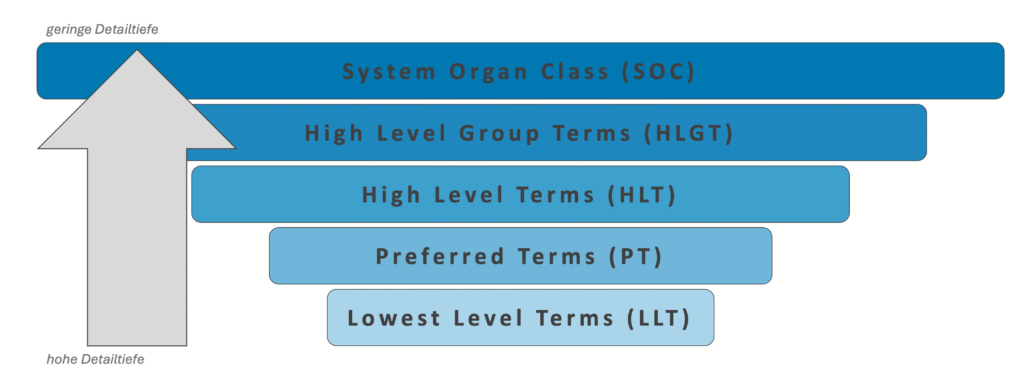 Schematische Darstellung der MedDRA-Hierarchie von Lowest Level Terms über Preferred Terms, High Level Terms und High Level Group Terms bis zur System Organ Class mit abnehmender Detailtiefe.